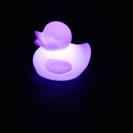 led duck light